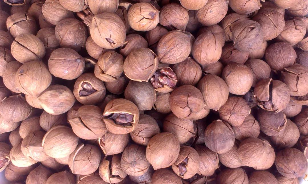 富硒地瓜含糖高吗(糖地瓜含富硒高钙吗)-硒宝网