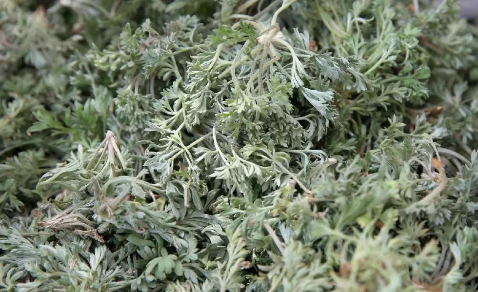 富硒地瓜含糖高吗(糖地瓜含富硒高钙吗)-硒宝网