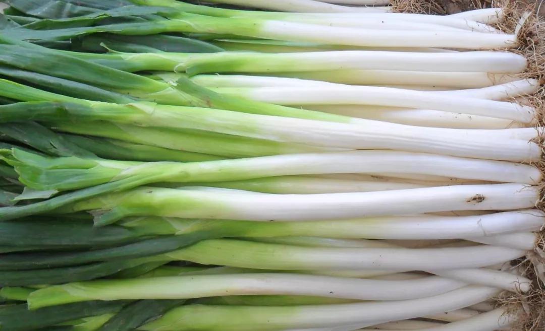 富硒地瓜含糖高吗(糖地瓜含富硒高钙吗)-硒宝网