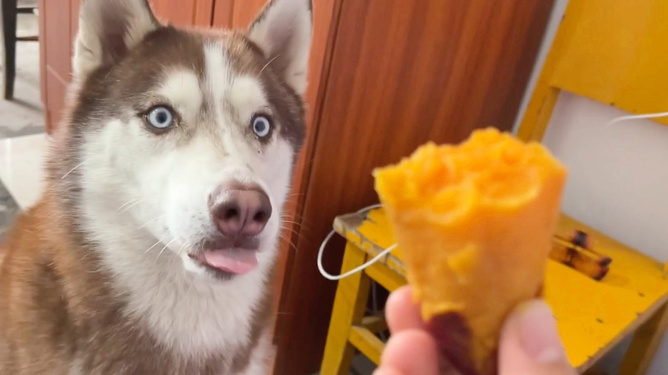 富硒地瓜好好吃吗（富硒地瓜吃了胖吗）-硒宝网