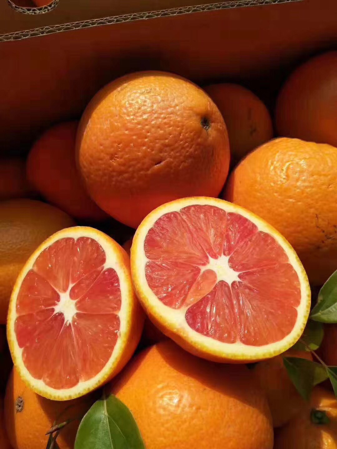 富硒地瓜水分太大（富硒地瓜是转基因的吗）-硒宝网