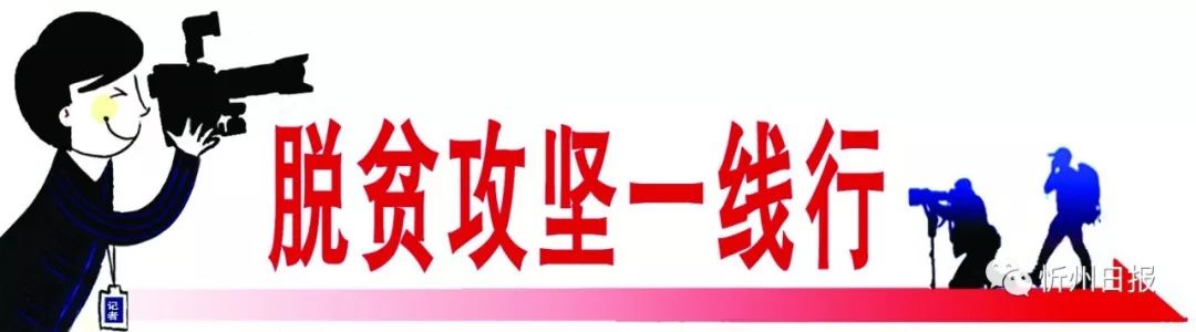 富硒地瓜济薯26(济薯21)-硒宝网