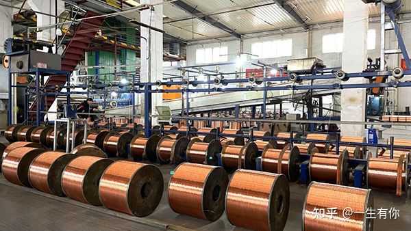 富硒地瓜是哪个省（富硒地瓜产地有哪些）-硒宝网