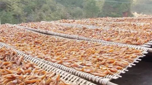 富硒地瓜食用方法（食用地瓜富硒方法有哪些）-硒宝网