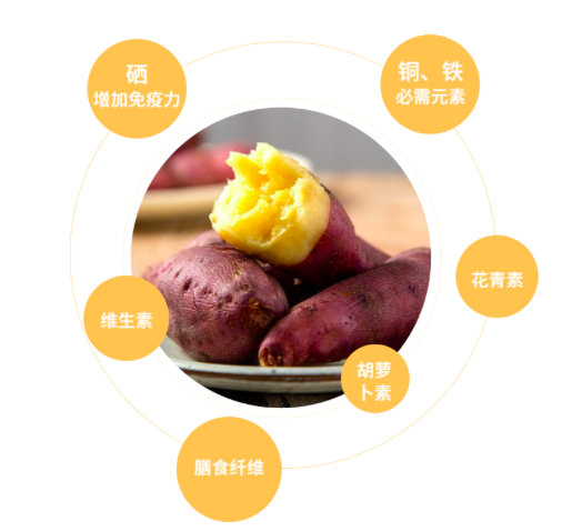 富硒地瓜食用方法（富硒地瓜怎么吃）-硒宝网