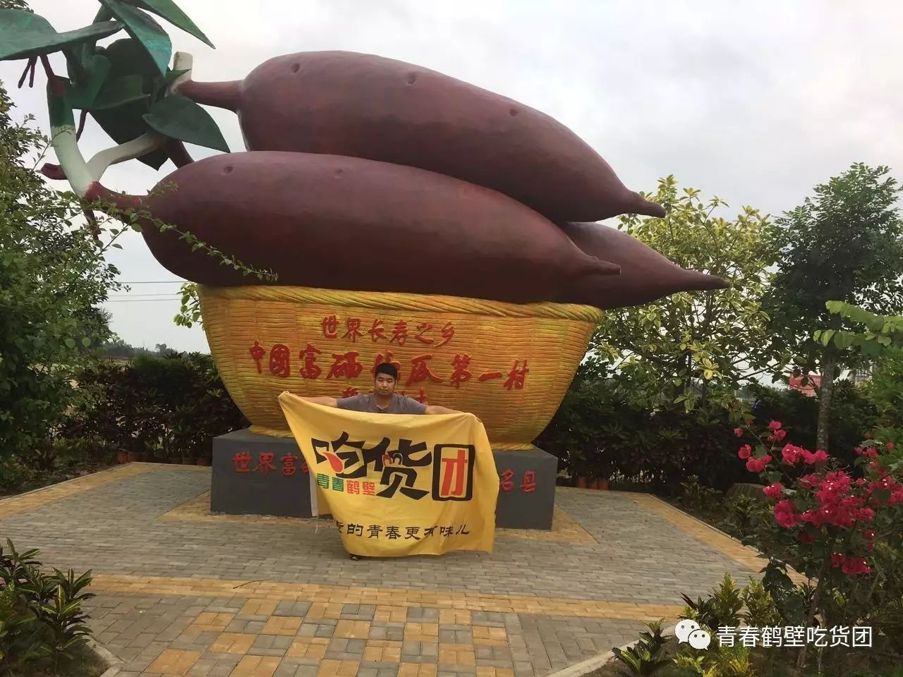 板栗薯和富硒地瓜(板栗地瓜的功效)-硒宝网