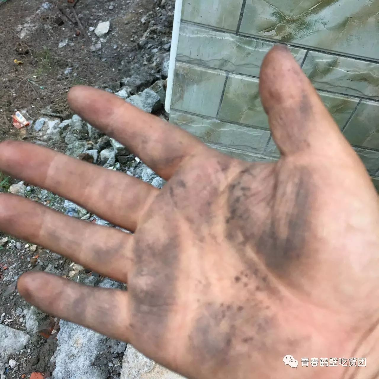 板栗薯和富硒地瓜(板栗地瓜的功效)-硒宝网