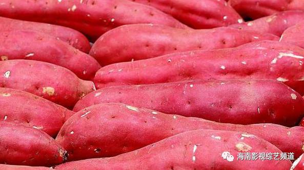 海南?？诟晃毓希êＤ细晃毓隙嗌偾唤铮?硒宝网