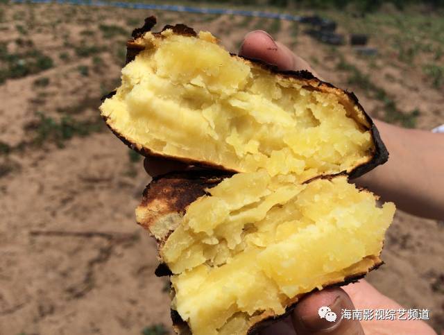 海南?？诟晃毓希êＤ细晃毓隙嗌偾唤铮?硒宝网