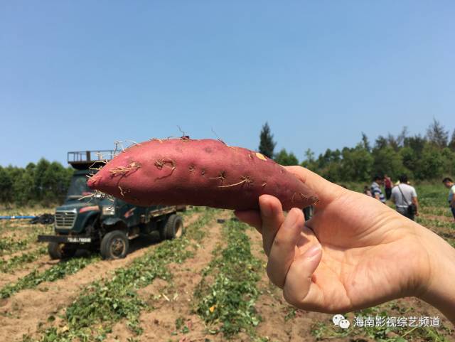 海南?？诟晃毓希êＤ细晃毓隙嗌偾唤铮?硒宝网