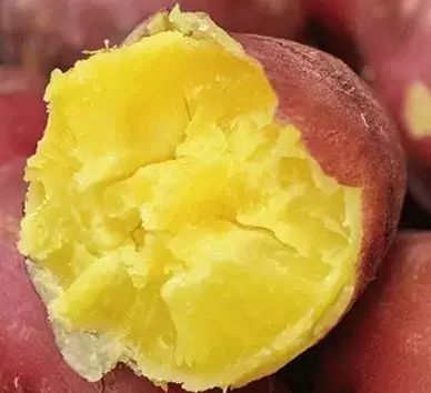 板栗薯和富硒地瓜(板栗薯营养)-硒宝网