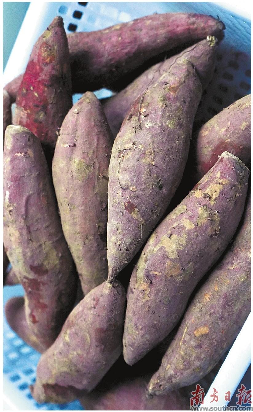 香甜可口富硒地瓜（香甜可口富硒地瓜）-硒宝网