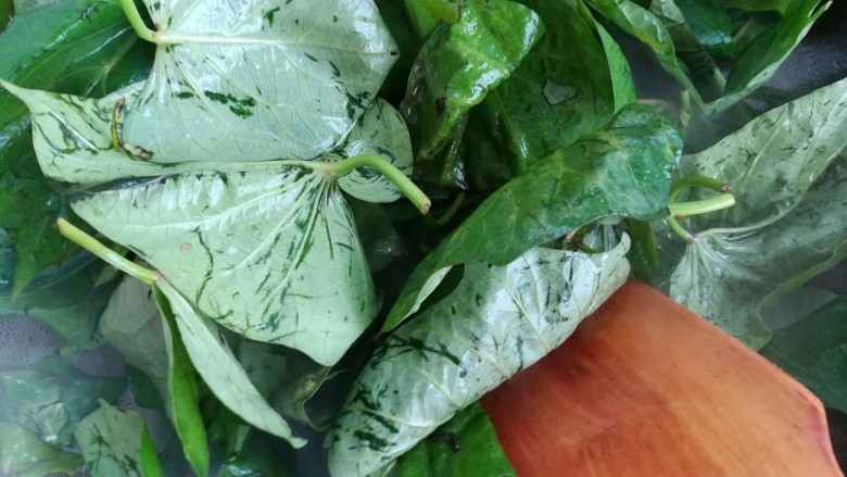 富硒地瓜叶的功效(地瓜功效叶富硒含量多少)-硒宝网