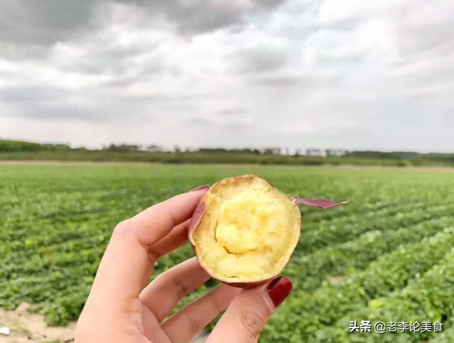 烤地瓜富硒的好吗(富硒地瓜营养价值)-硒宝网