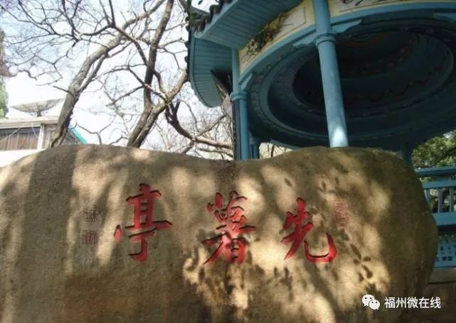 为什么叫富硒地瓜（富硒地瓜是什么）-硒宝网