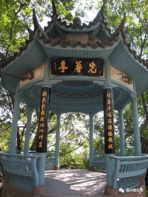 为什么叫富硒地瓜（富硒地瓜是什么）-硒宝网