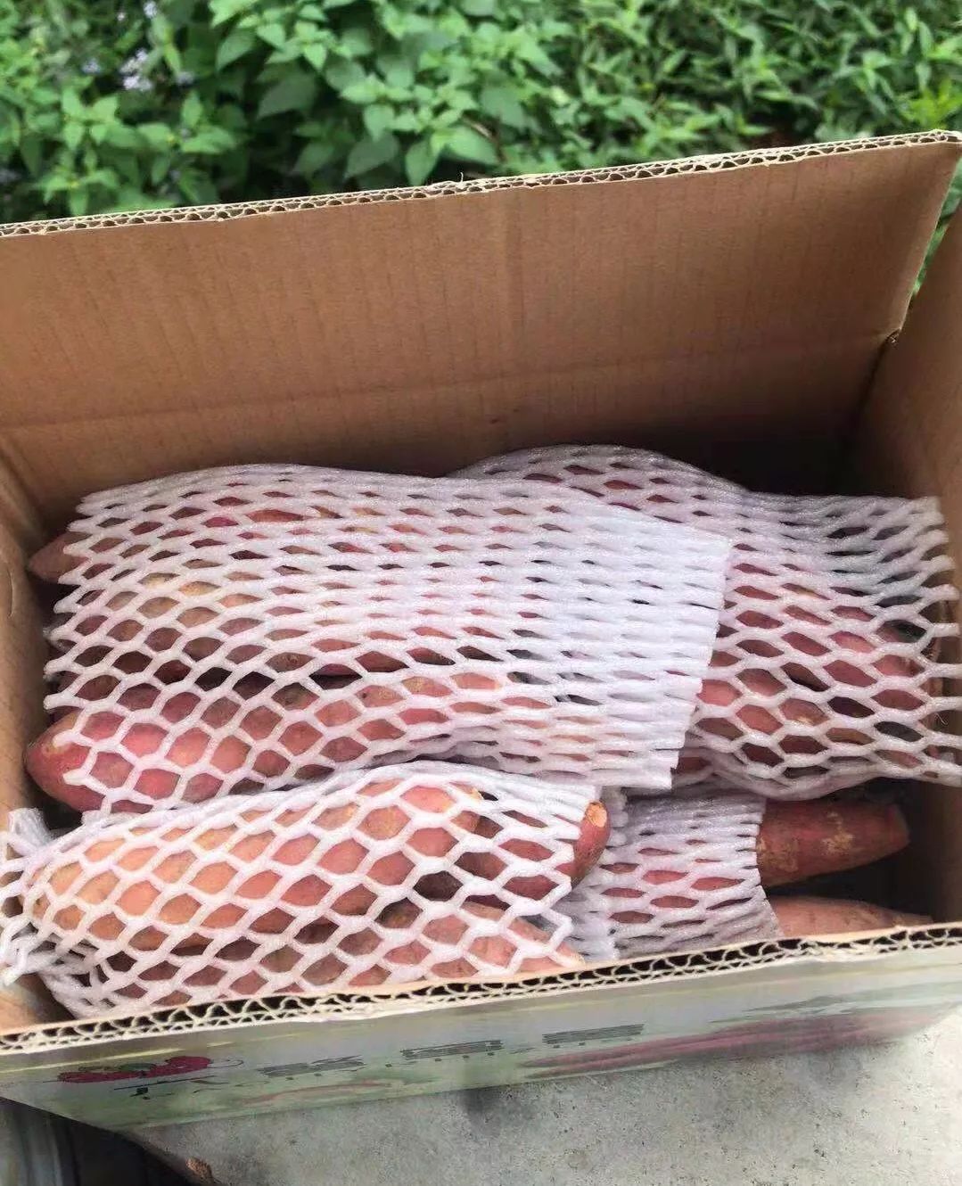 富硒地瓜皮的功效（富硒地瓜的功效）-硒宝网