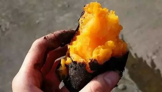 富硒地瓜皮的功效（富硒地瓜的功效）-硒宝网