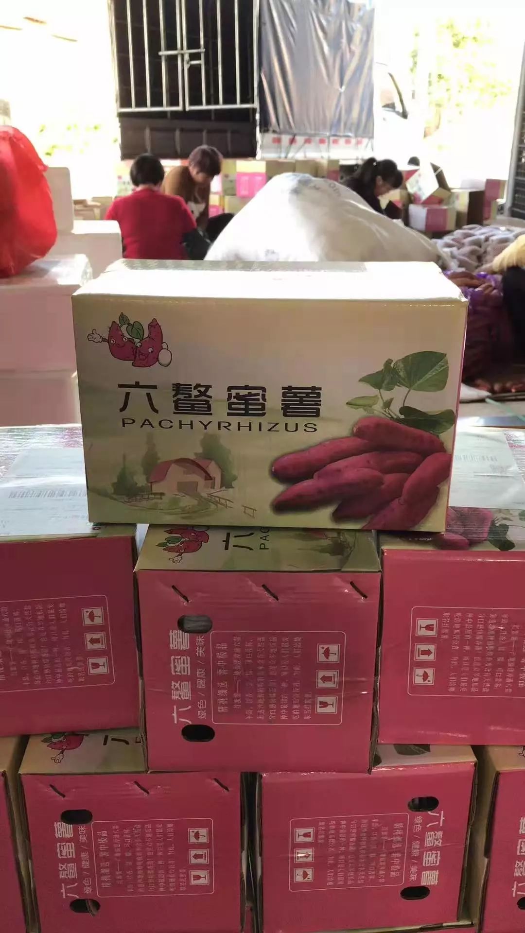 富硒地瓜皮的功效（富硒地瓜的功效）-硒宝网