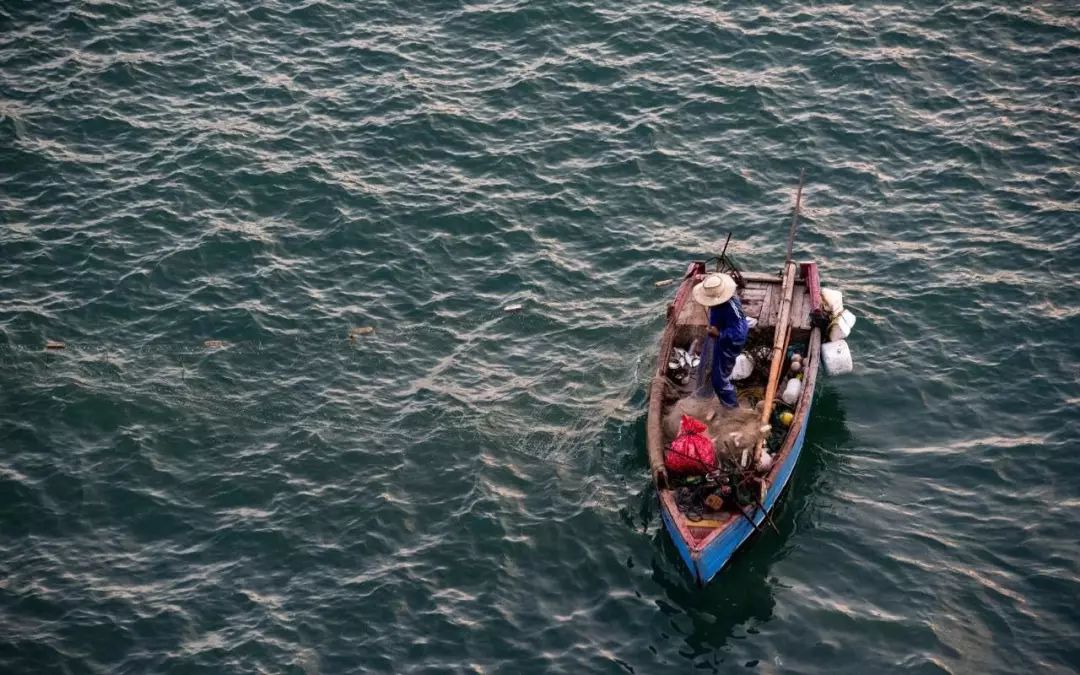 富硒地瓜皮的功效(富硒地瓜的营养价值)-硒宝网