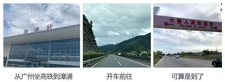 富硒地瓜产在哪里(富硒地瓜是转基因的吗)-硒宝网