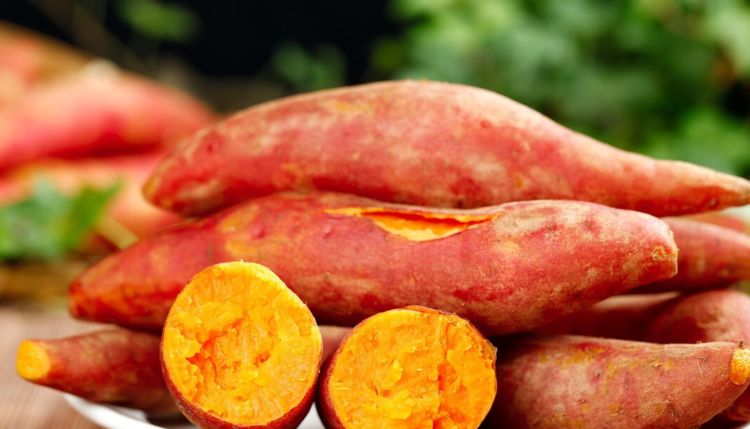 富硒地瓜需要晒吗（富硒地瓜蒸着吃还是煮着吃）-硒宝网