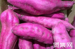 富硒地瓜是啥品种（地瓜品种富硒是哪种）-硒宝网