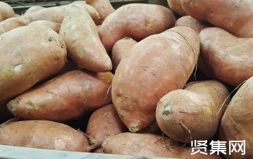富硒地瓜是啥品种（地瓜品种富硒是哪种）-硒宝网