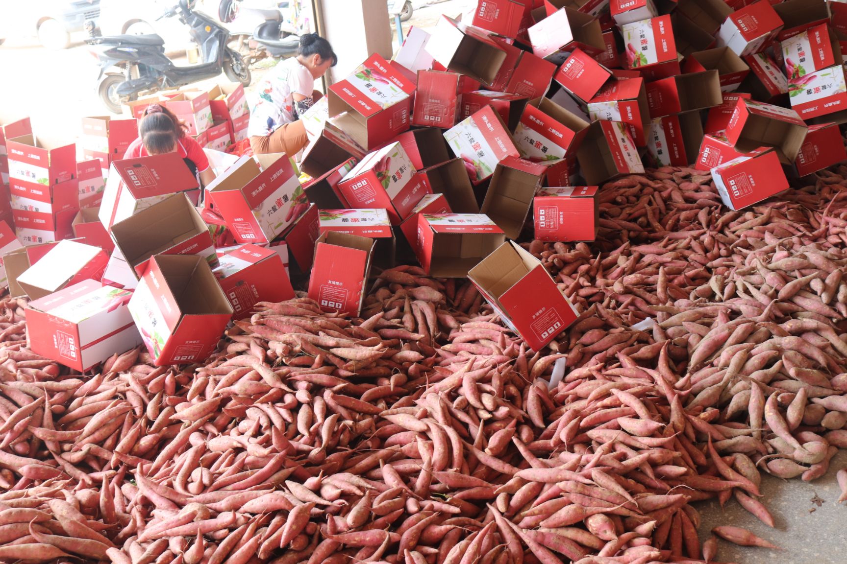 烤富硒地瓜的做法（富硒地瓜的做法）-硒宝网