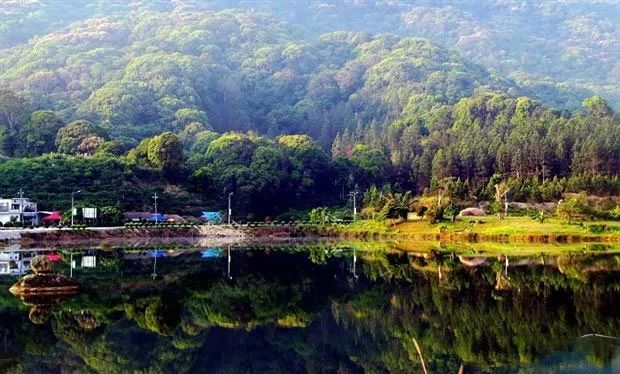 海南沙土富硒地瓜（海南地瓜沙土富硒含量）-硒宝网