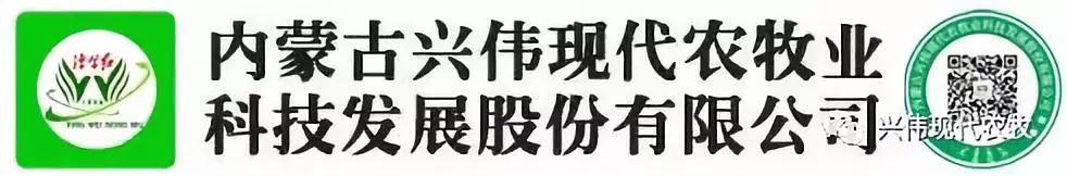 富硒地瓜粉的功效(地瓜粉功效富硒含量高吗)-硒宝网