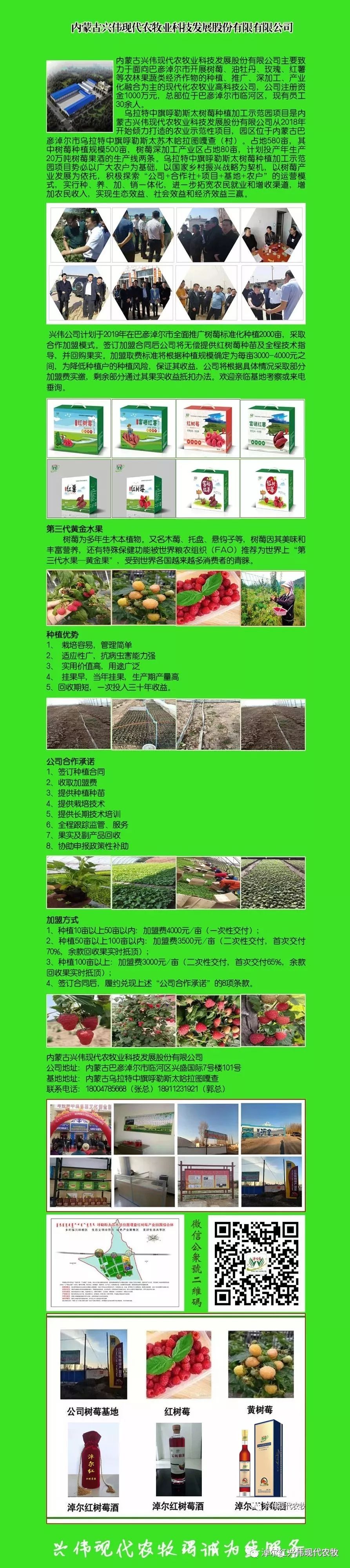 富硒地瓜粉的功效(地瓜粉功效富硒含量高吗)-硒宝网