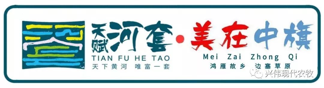 富硒地瓜粉的功效(地瓜粉功效富硒含量高吗)-硒宝网