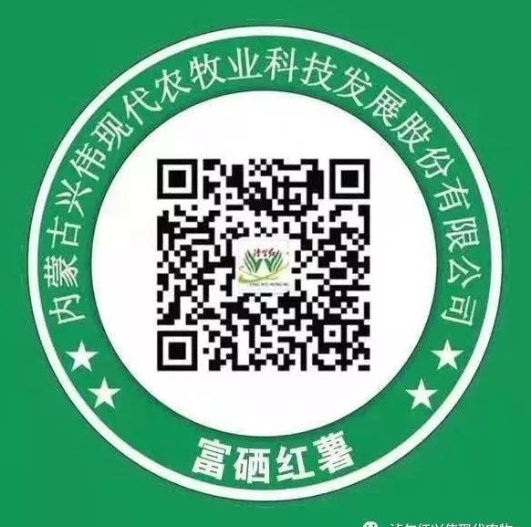 富硒地瓜粉的功效(地瓜粉功效富硒含量高吗)-硒宝网