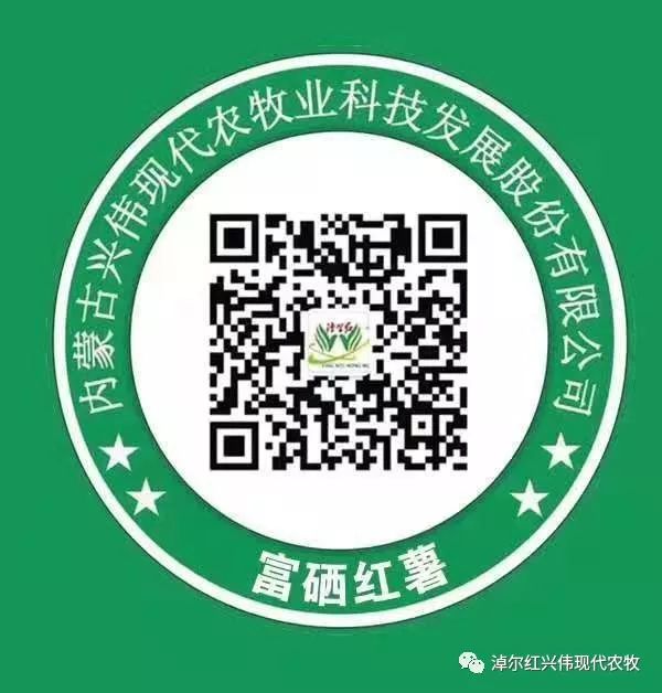 富硒地瓜粉的功效(地瓜粉功效富硒含量高吗)-硒宝网