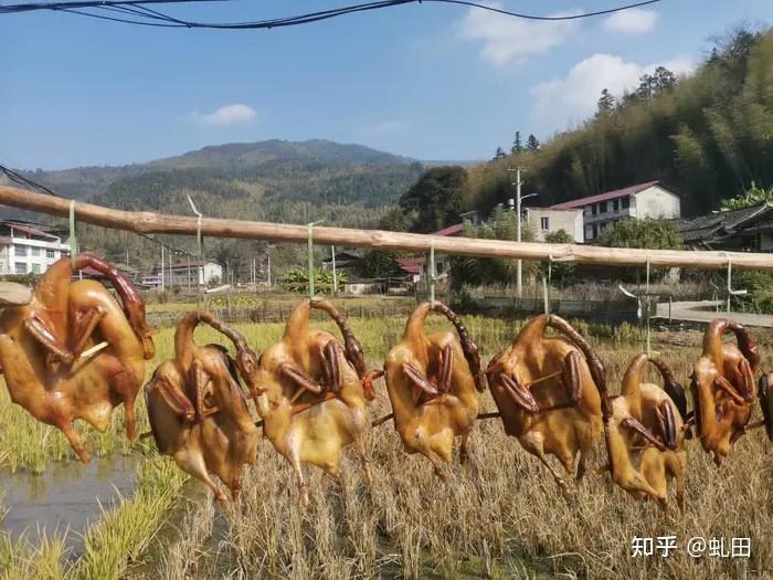 富硒地瓜晒得好处(富晒地瓜功效)-硒宝网