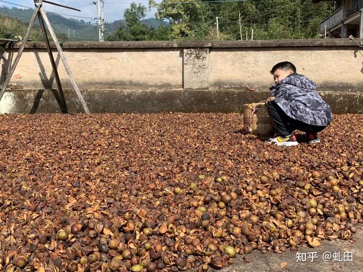 富硒地瓜晒得好处(富晒地瓜功效)-硒宝网