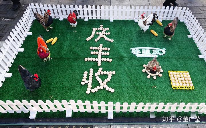 烟台有富硒地瓜吗（富硒地瓜和烟薯25的区别）-硒宝网