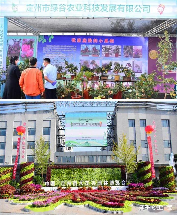 烟台有富硒地瓜吗（富硒地瓜和烟薯25的区别）-硒宝网