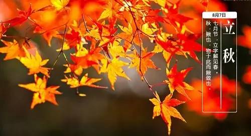 桥头富硒地瓜避坑（桥头地瓜含硒真的高吗）-硒宝网