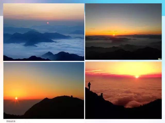 桥头富硒地瓜避坑（桥头地瓜含硒真的高吗）-硒宝网