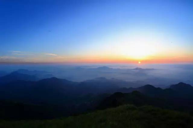 桥头富硒地瓜避坑（桥头地瓜含硒真的高吗）-硒宝网