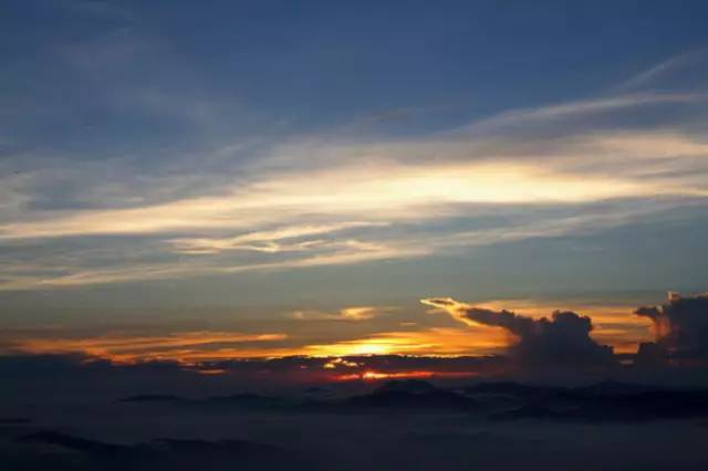 桥头富硒地瓜避坑（桥头地瓜含硒真的高吗）-硒宝网