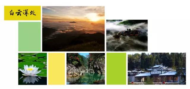 桥头富硒地瓜避坑（桥头地瓜含硒真的高吗）-硒宝网