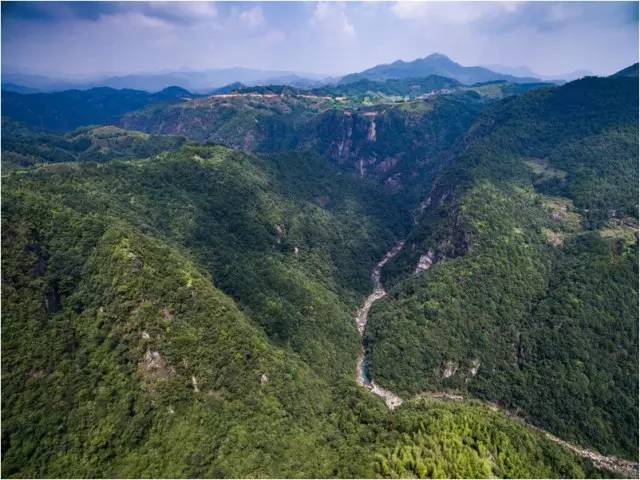 桥头富硒地瓜避坑（桥头地瓜含硒真的高吗）-硒宝网