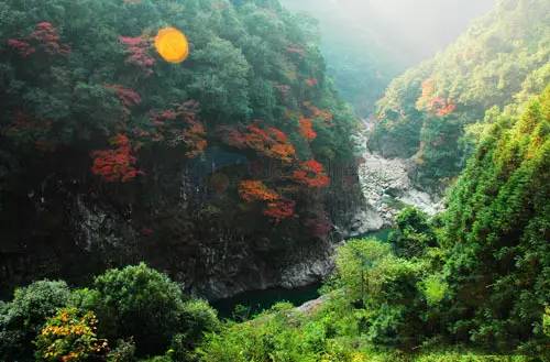 桥头富硒地瓜避坑（桥头地瓜含硒真的高吗）-硒宝网