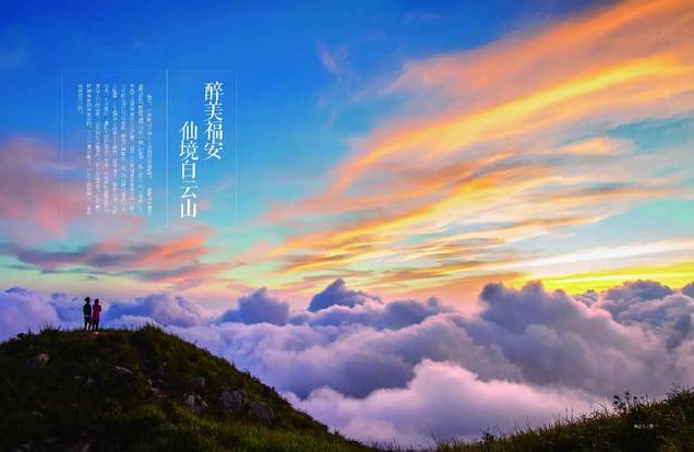 桥头富硒地瓜避坑（桥头地瓜含硒真的高吗）-硒宝网