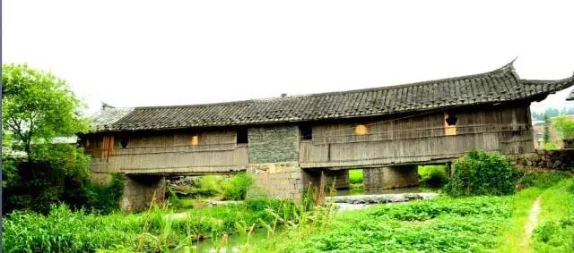 桥头富硒地瓜避坑（桥头地瓜含硒真的高吗）-硒宝网