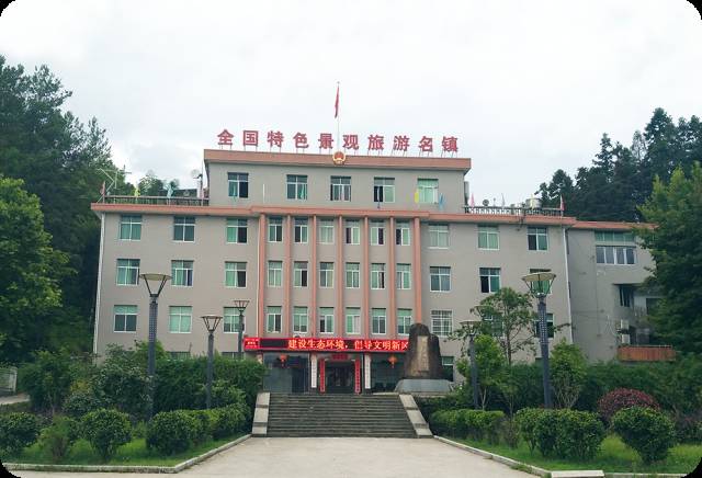 桥头富硒地瓜避坑（桥头地瓜含硒真的高吗）-硒宝网