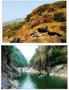 桥头富硒地瓜避坑（桥头地瓜含硒真的高吗）-硒宝网